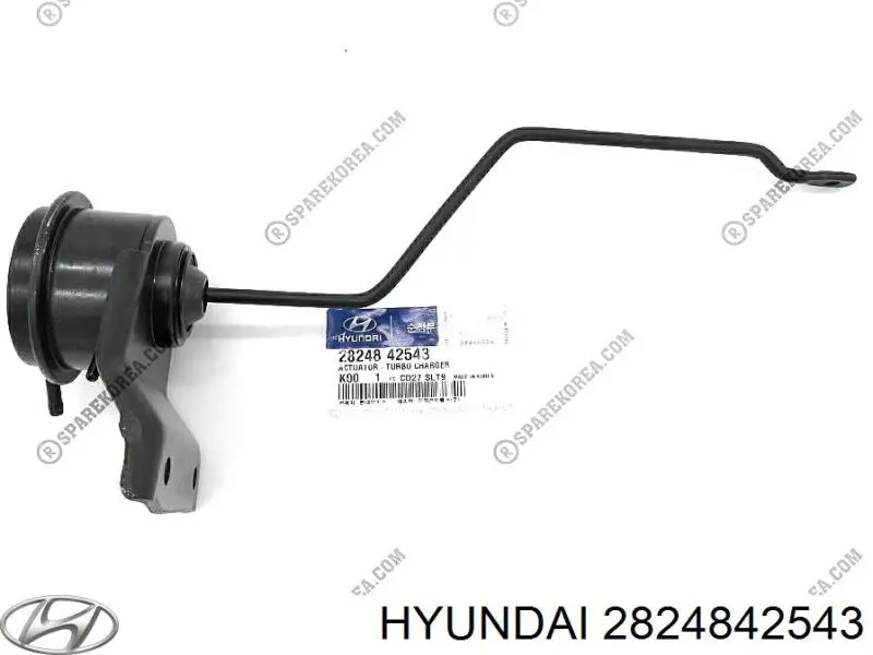  2824842543 Hyundai/Kia