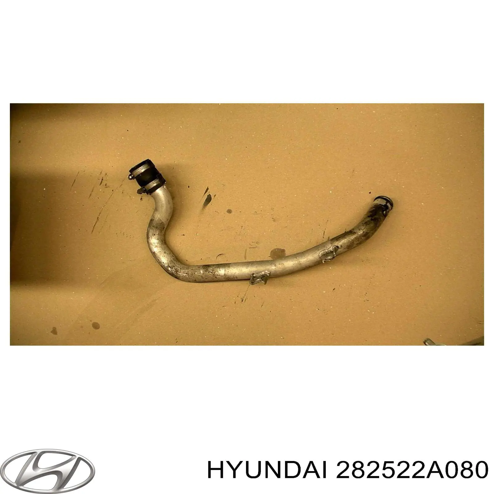 282522A080 Hyundai/Kia 