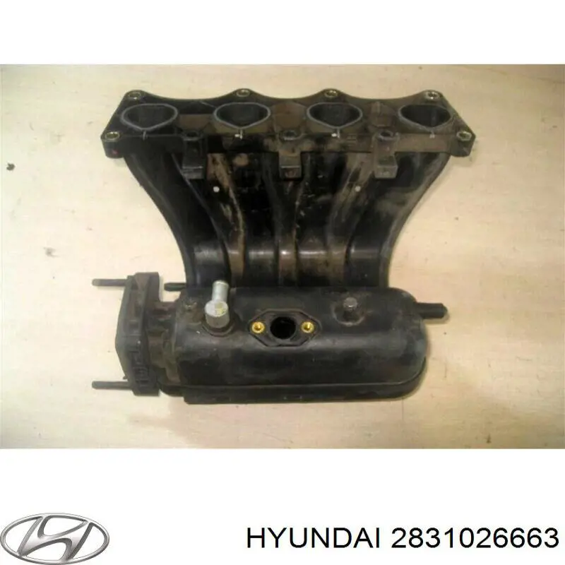 Коллектор впускной Hyundai/Kia 2831026663 цена, от 28.22 USD