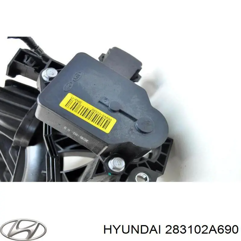 Впускной коллектор Hyundai/Kia 283102A690