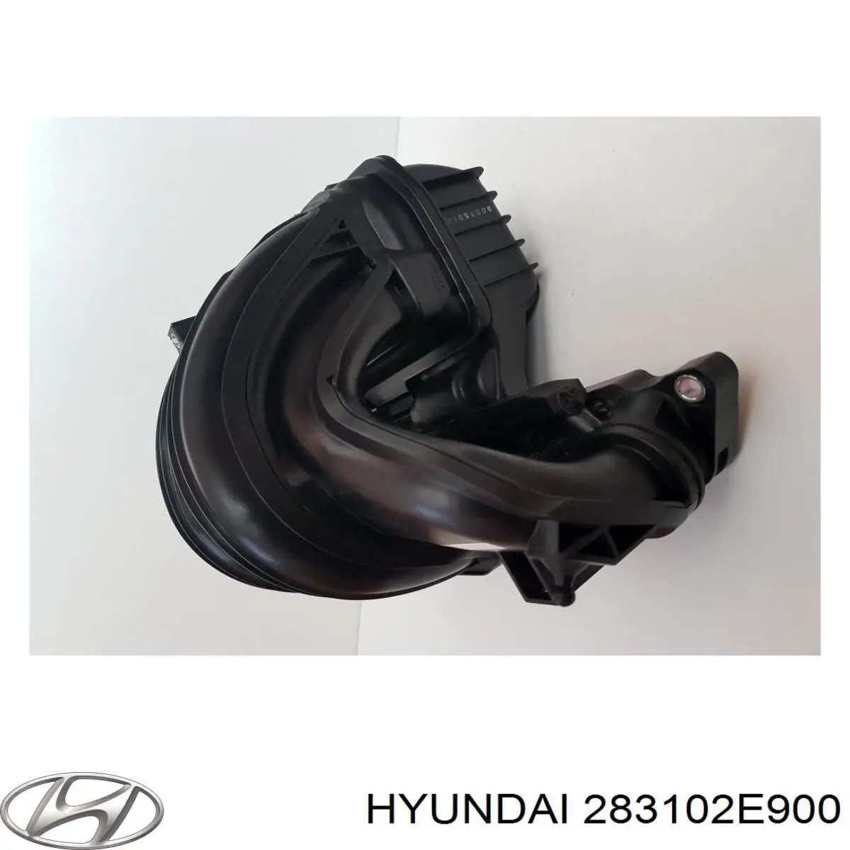 Коллектор впускной Hyundai/Kia 283102E900 цена, от 190.04 USD