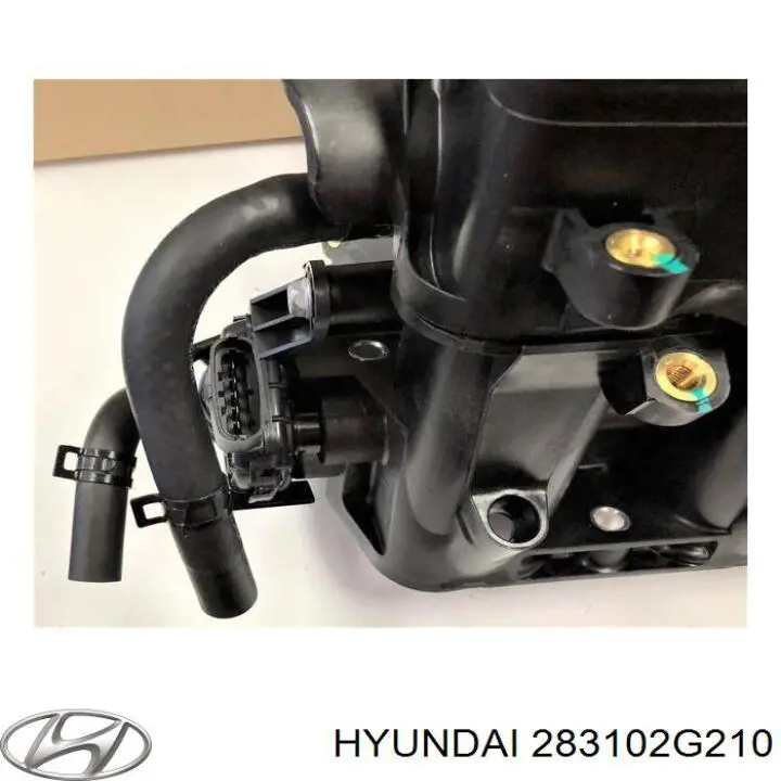  283102G210 Hyundai/Kia