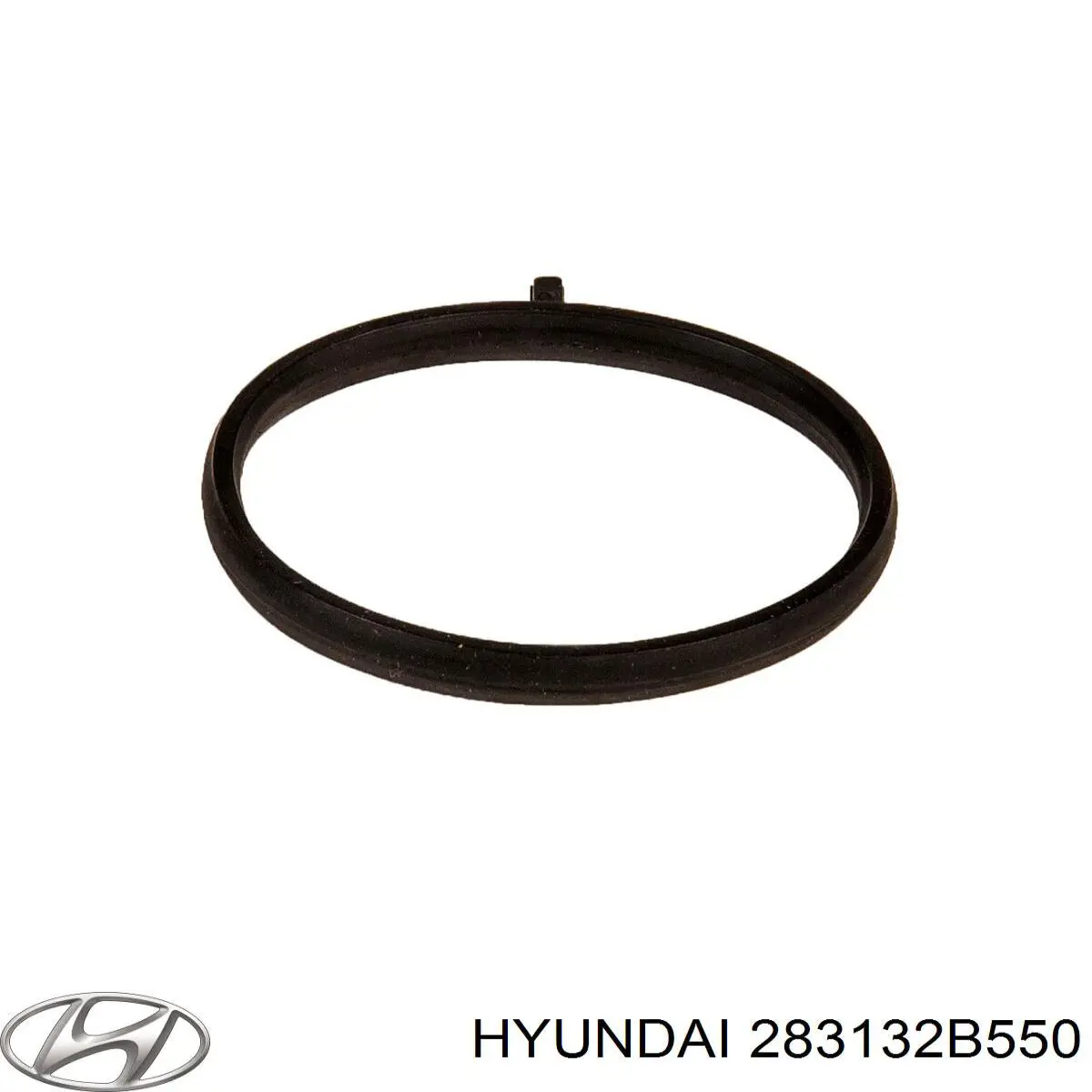 283132B550 Hyundai/Kia 