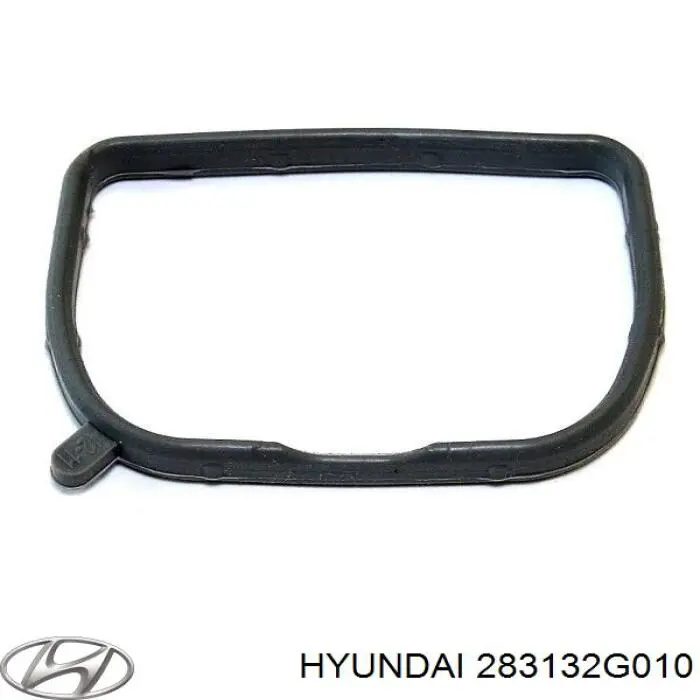  283132G010 Hyundai/Kia