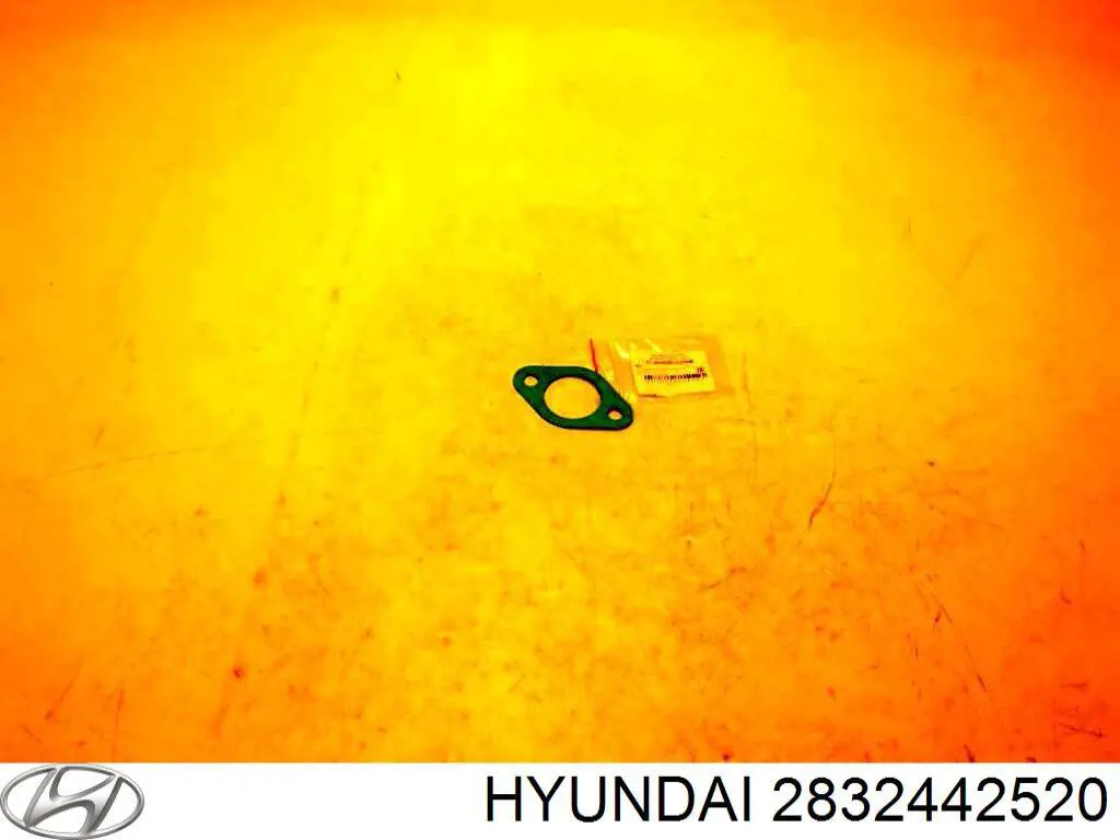 2832442520 Hyundai/Kia vedante de tubo coletor de admissão