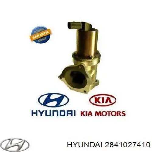 Válvula, AGR 2841027410 Hyundai/Kia