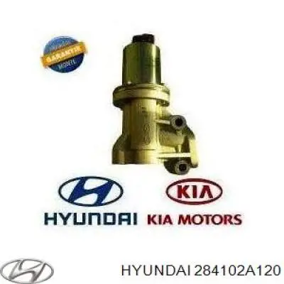 Клапан EGR, рециркуляції газів 284102A120 Hyundai/Kia