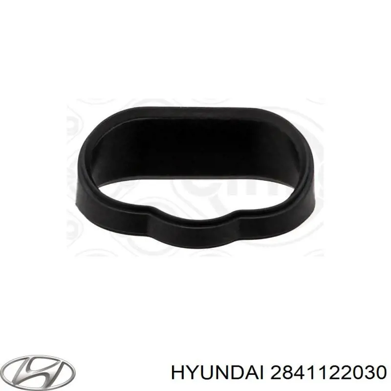 Прокладка впускного коллектора 2841122030 Hyundai/Kia