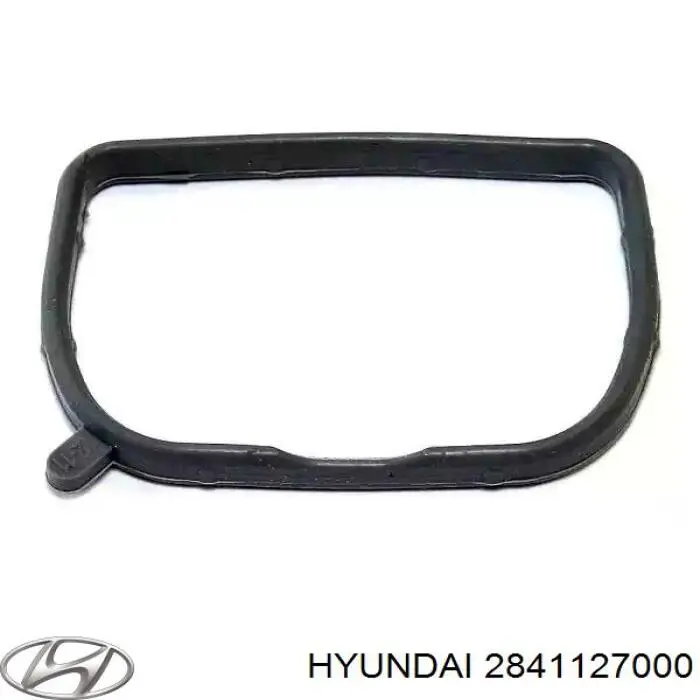 2841127000 Hyundai/Kia vedante de tubo coletor de admissão