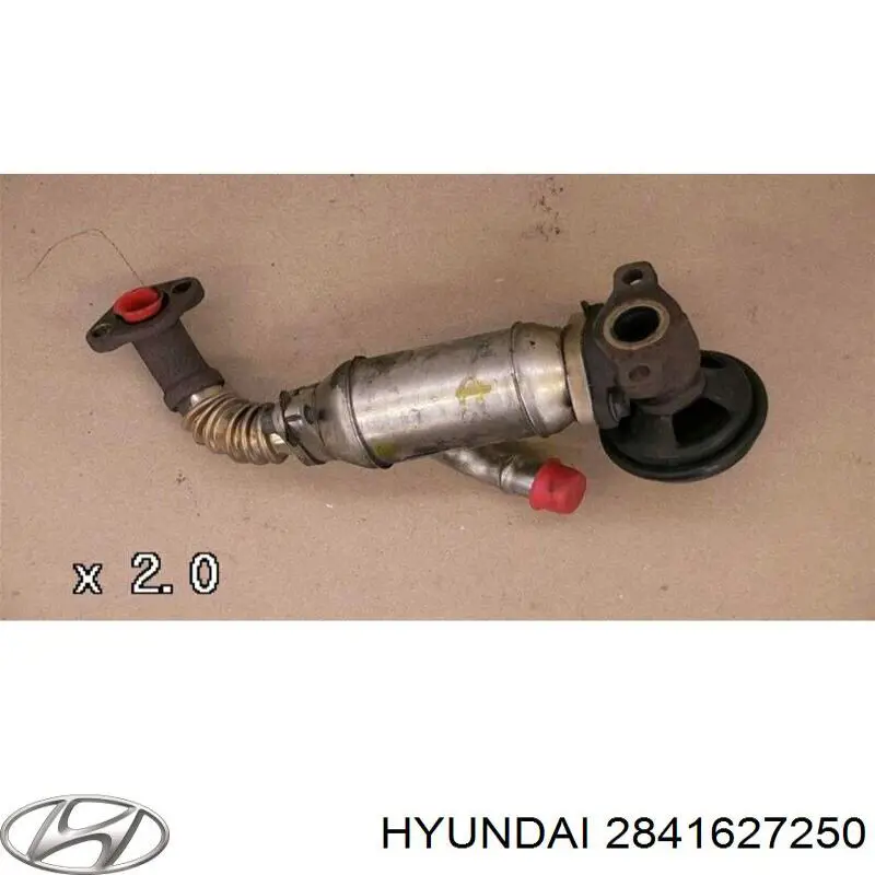 2841627250 Hyundai/Kia