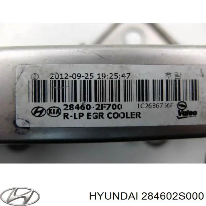 Радиатор системы EGR рециркуляции выхлопных газов Hyundai/Kia 284602S000 цена, от 101.58 USD