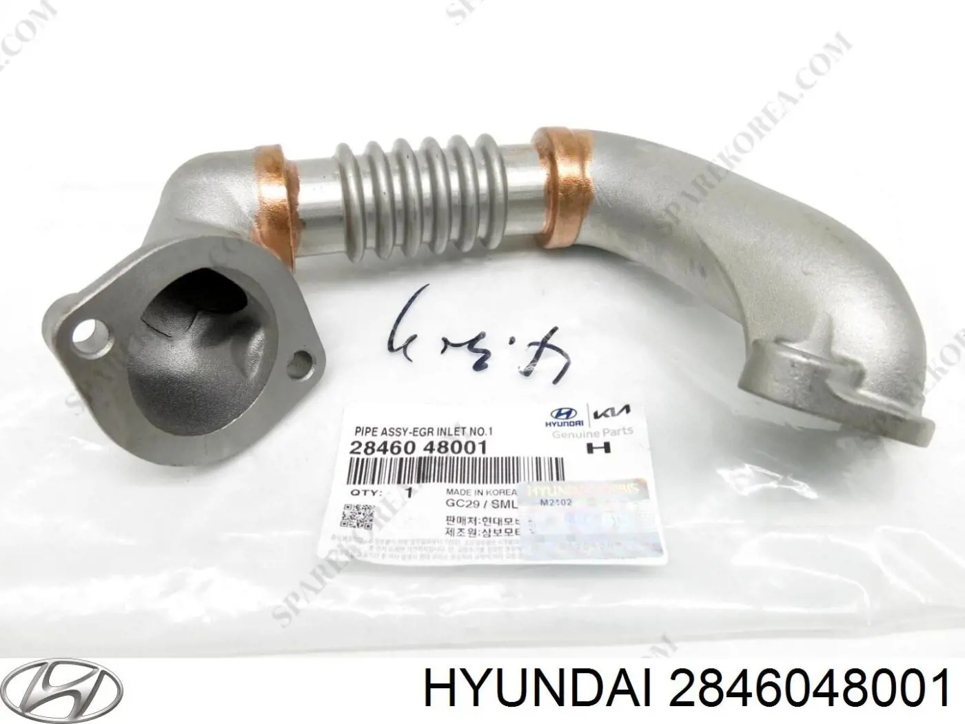  2846048001 Hyundai/Kia