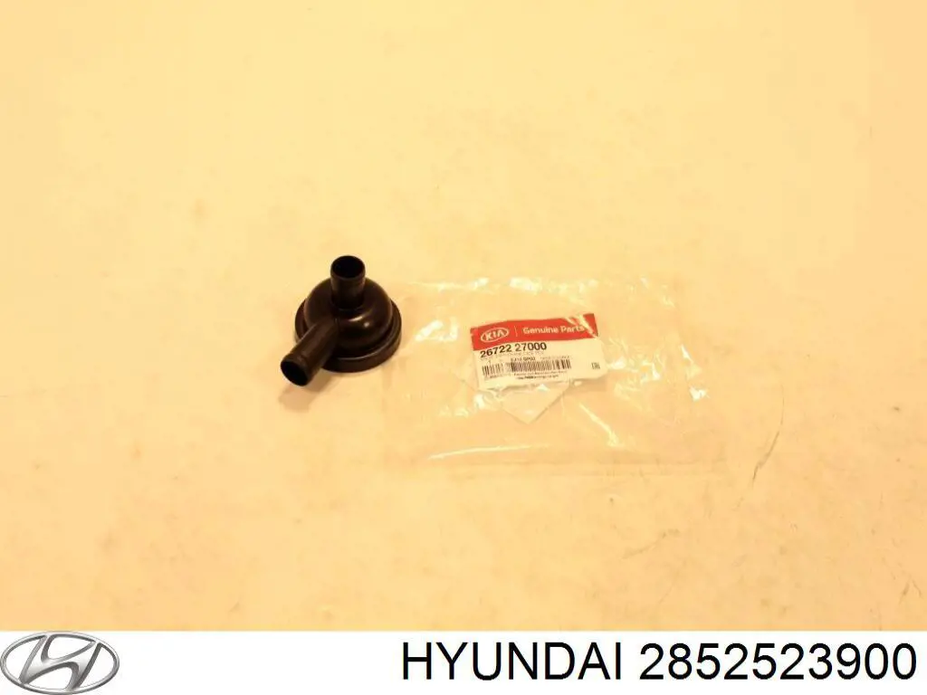  2852523903 Hyundai/Kia