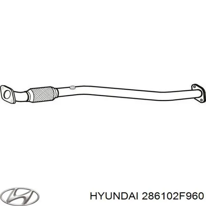  286102F960 Hyundai/Kia