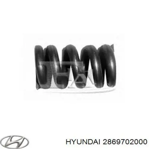 Muelle, tubo de escape 2869702000 Hyundai/Kia