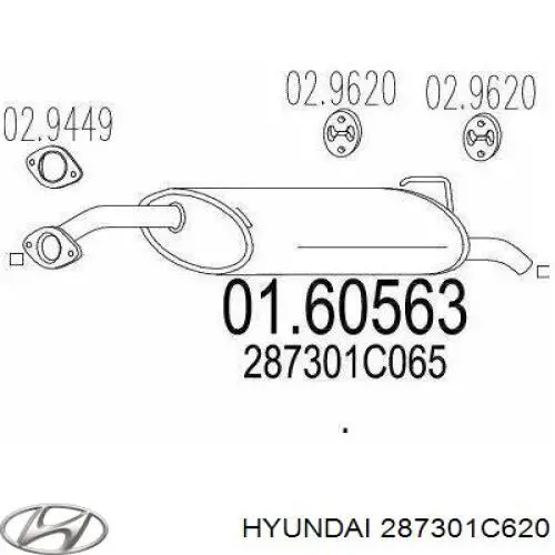 287301C620 Hyundai/Kia 