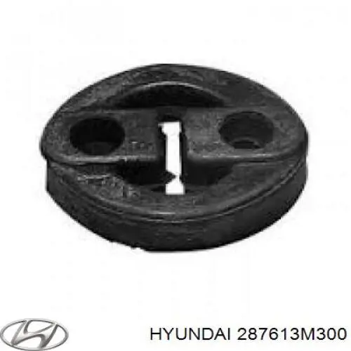 Купить 287613M300 Hyundai/Kia 