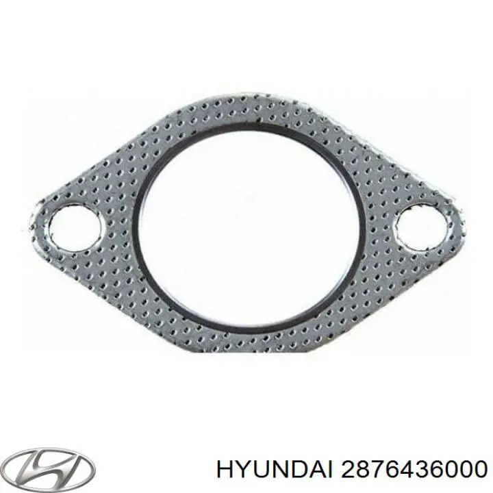 2876436000 Hyundai/Kia 