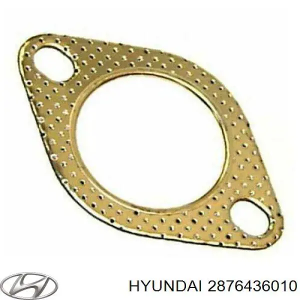 2876436010 Hyundai/Kia