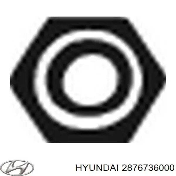  2876736000 Hyundai/Kia