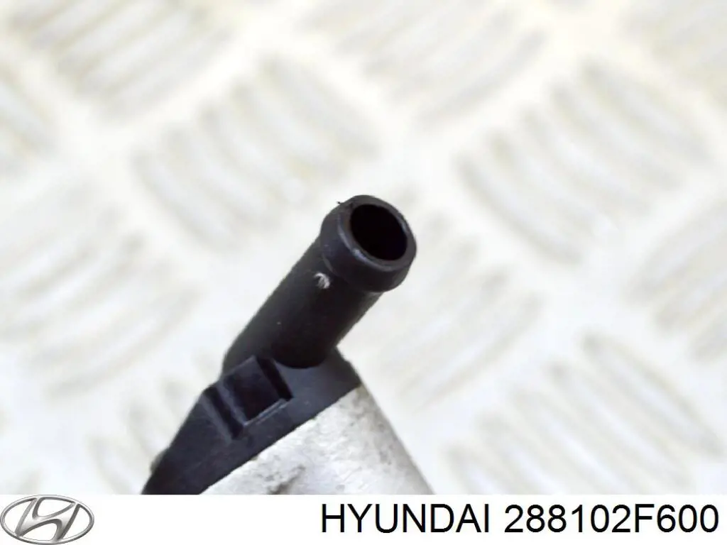 Купить 288102F600 Hyundai/Kia Вакуумный насос