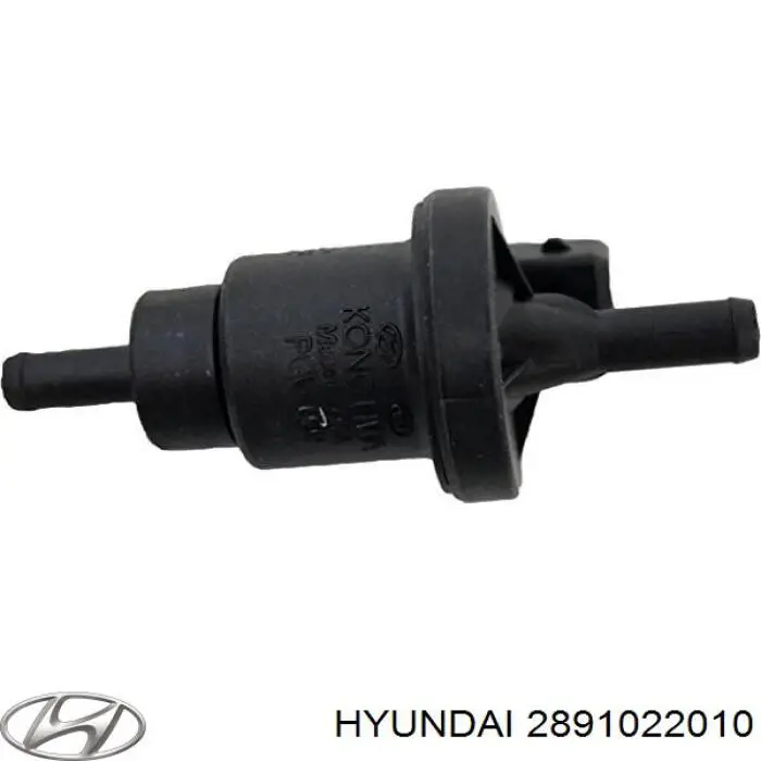  2891022010 Hyundai/Kia