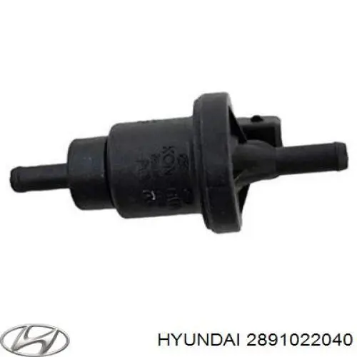 2891022040 Hyundai Kia Клапан Абсорбера Купить