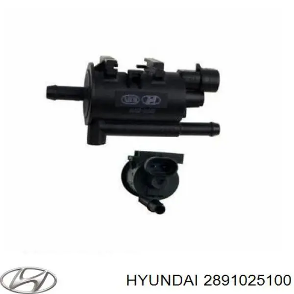 Клапан продувки катализатора Hyundai/Kia 2891025100