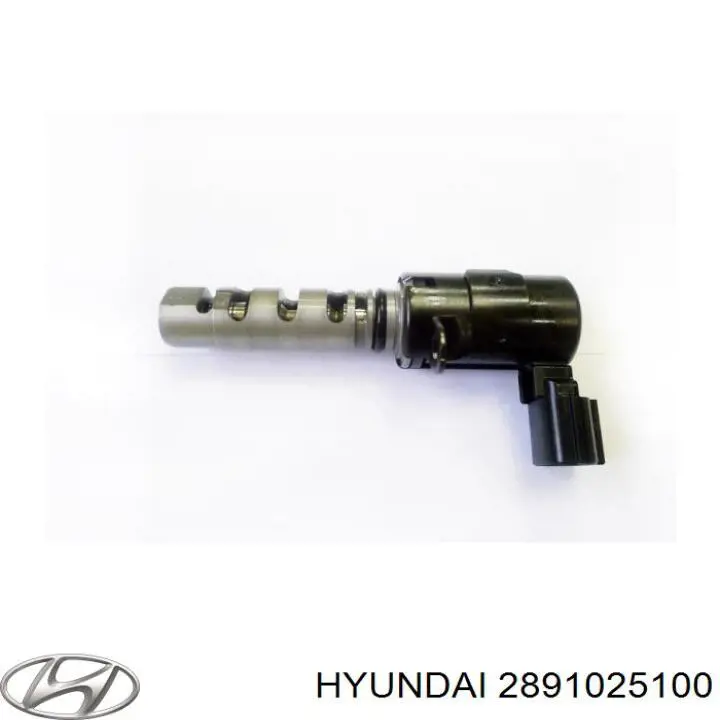 2891025100 Hyundai/Kia Клапан продувки катализатора