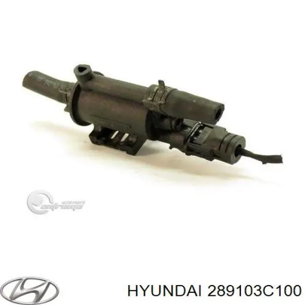 Купить 289103C100 Hyundai/Kia Клапан вентиляции бензобака