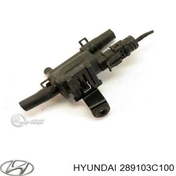 Клапан вентиляции газов топливного бака 289103C100 Hyundai/Kia