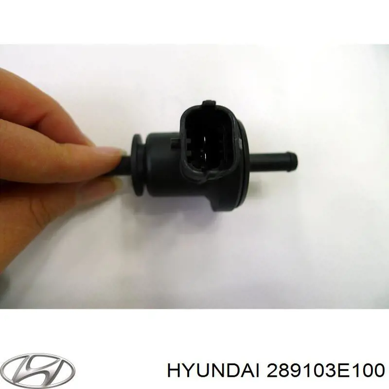 Купить 289103E100 Hyundai/Kia Клапан продувки катализатора
