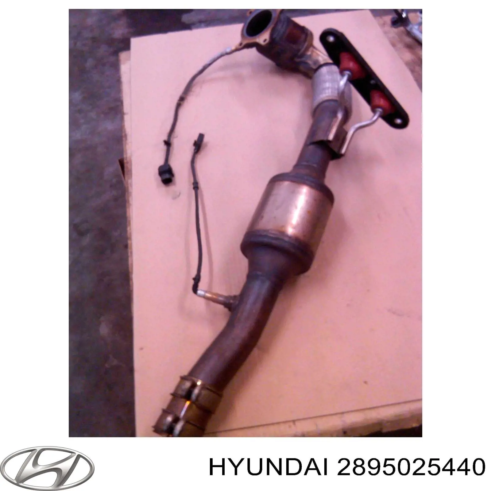 Купить 2895025440 Hyundai/Kia Преобразователь отработавших газов