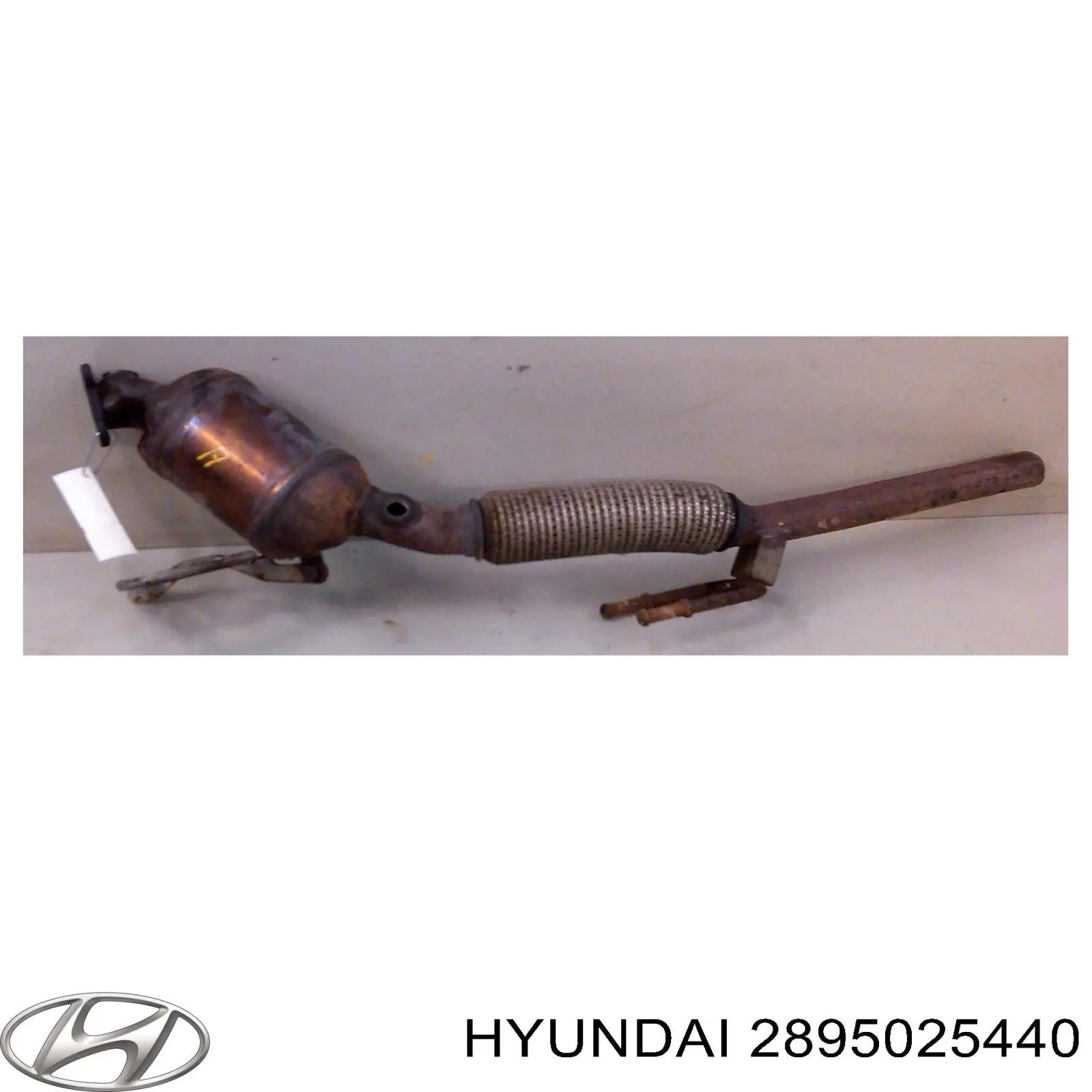 Катализатор 2895025440 Hyundai/Kia