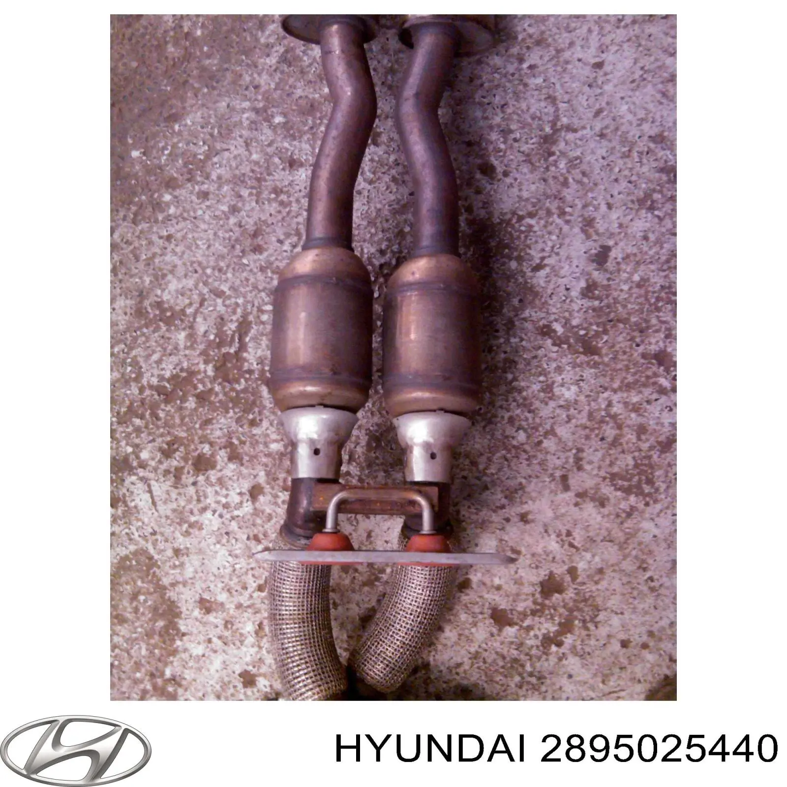 Катализатор Hyundai/Kia 2895025440