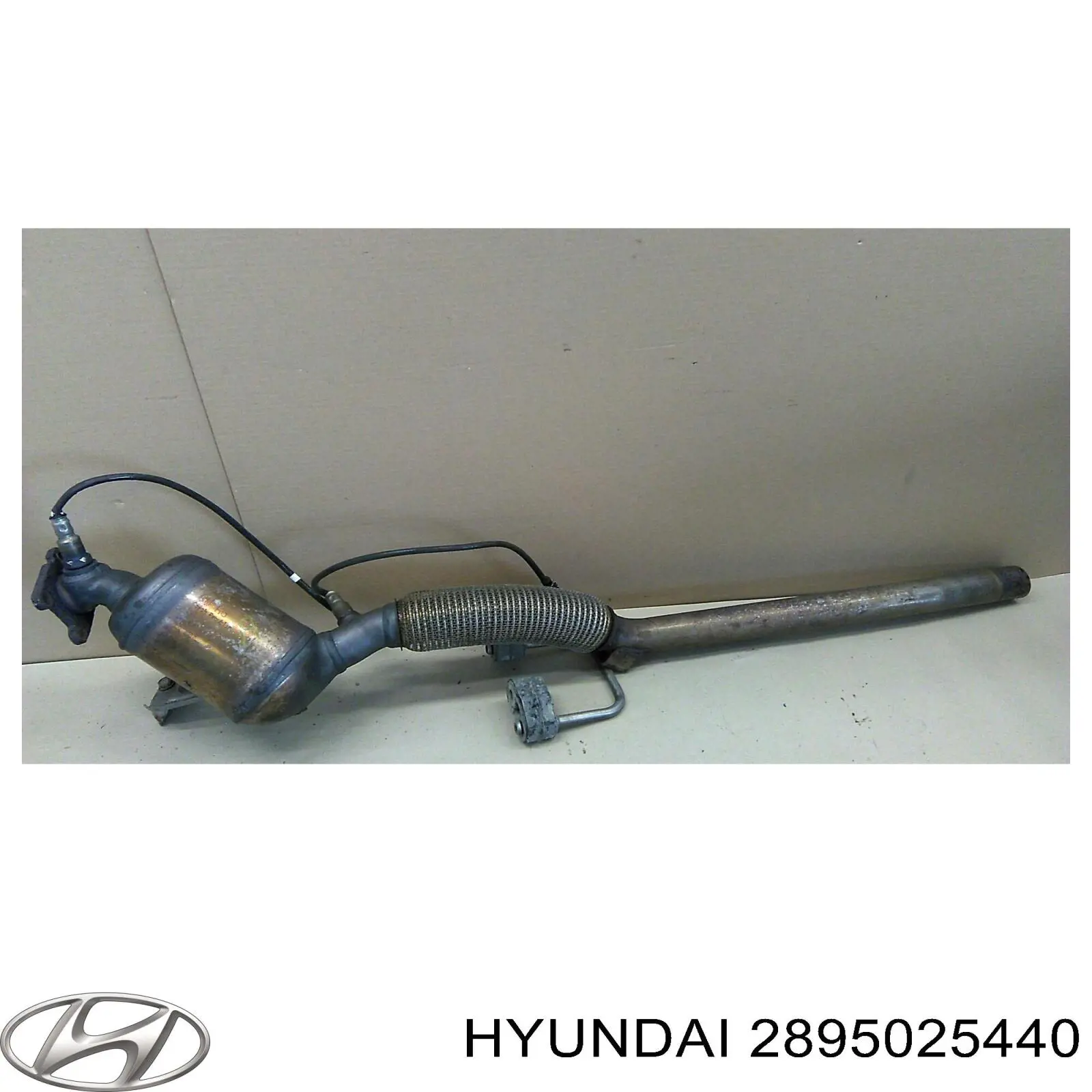 Катализатор 2895025440 Hyundai/Kia