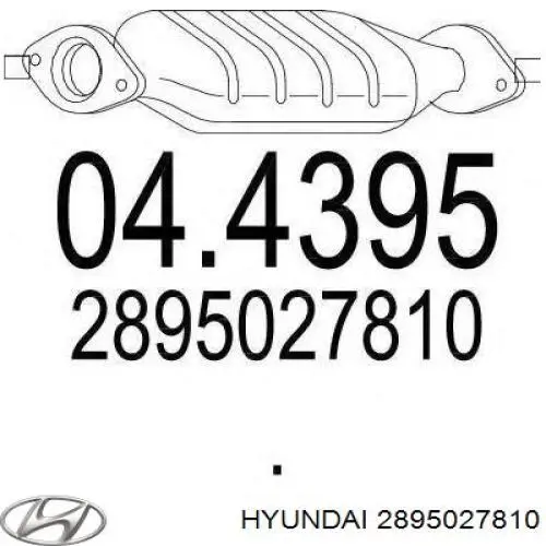  S2895027810 Hyundai/Kia