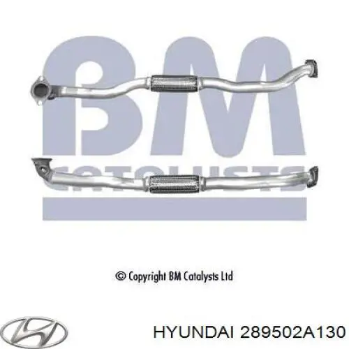 Каталитический нейтрализатор отработавших газов Hyundai/Kia 289502A130 цена, от 101.35 USD