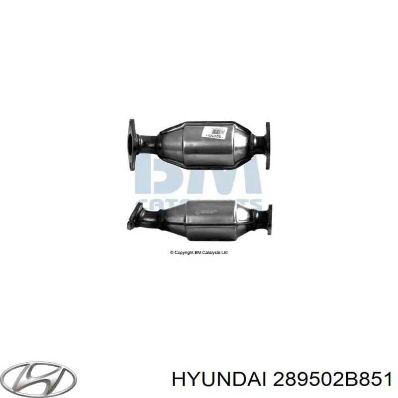 Купить 289502B851 Hyundai/Kia Преобразователь отработавших газов