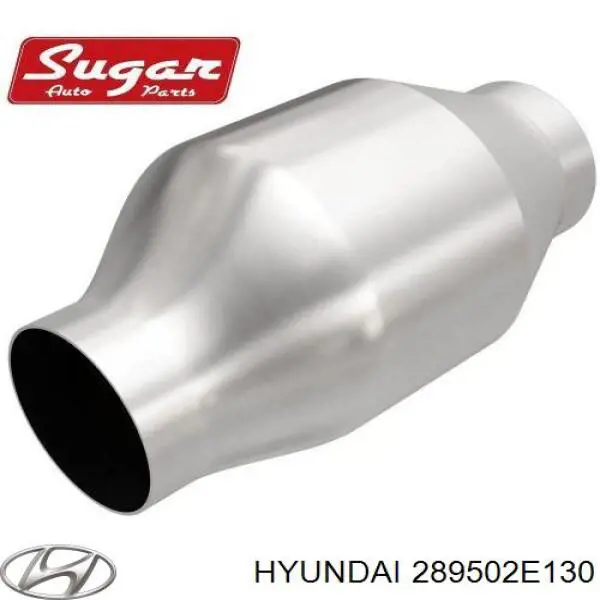 289502E130 Hyundai/Kia 