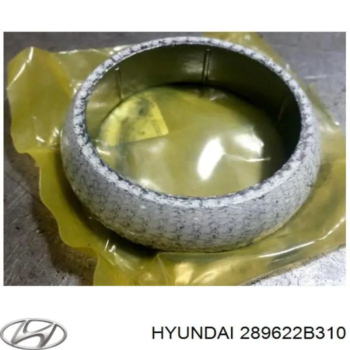289622B310 Hyundai/Kia Прокладка штанов