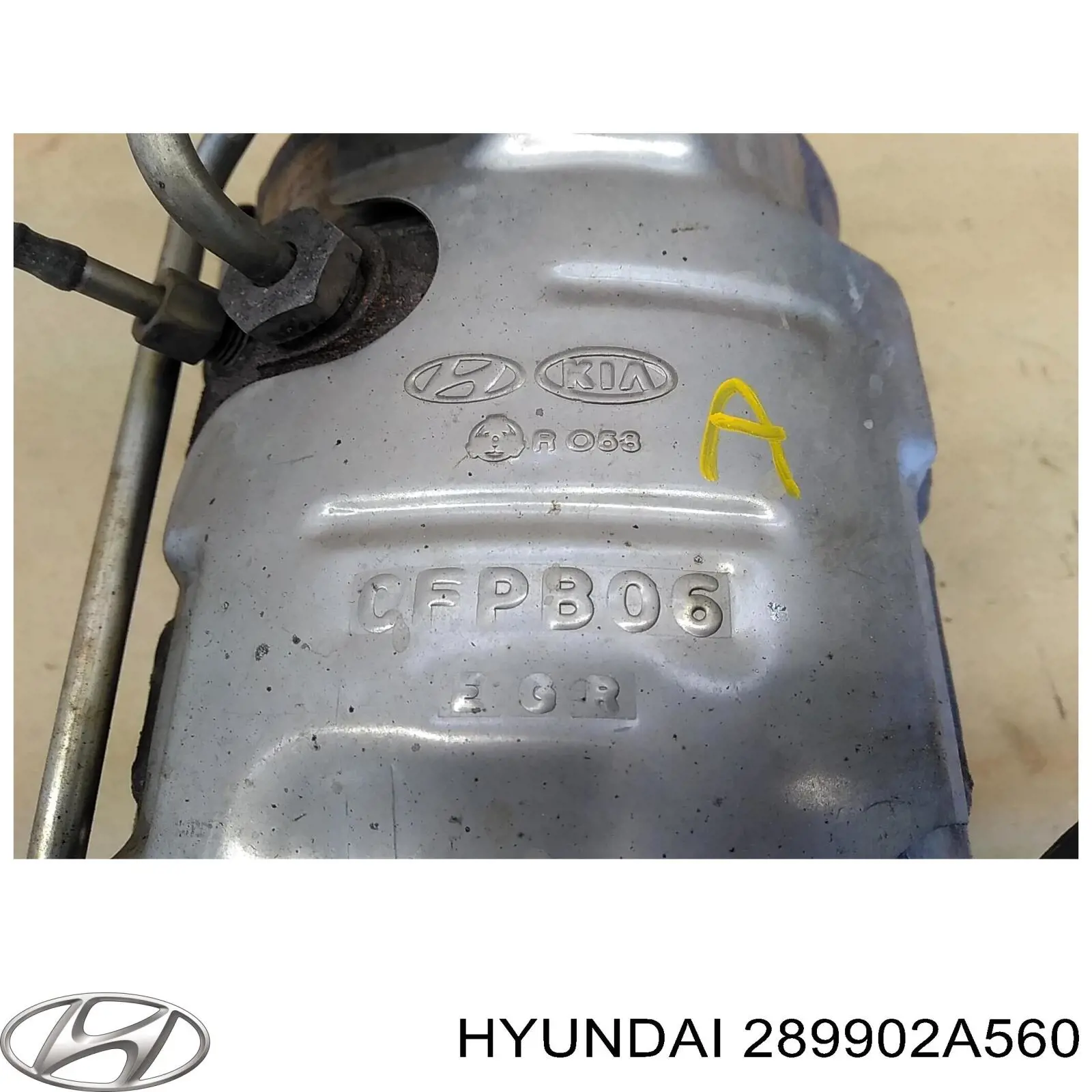 289902A560 Hyundai/Kia 