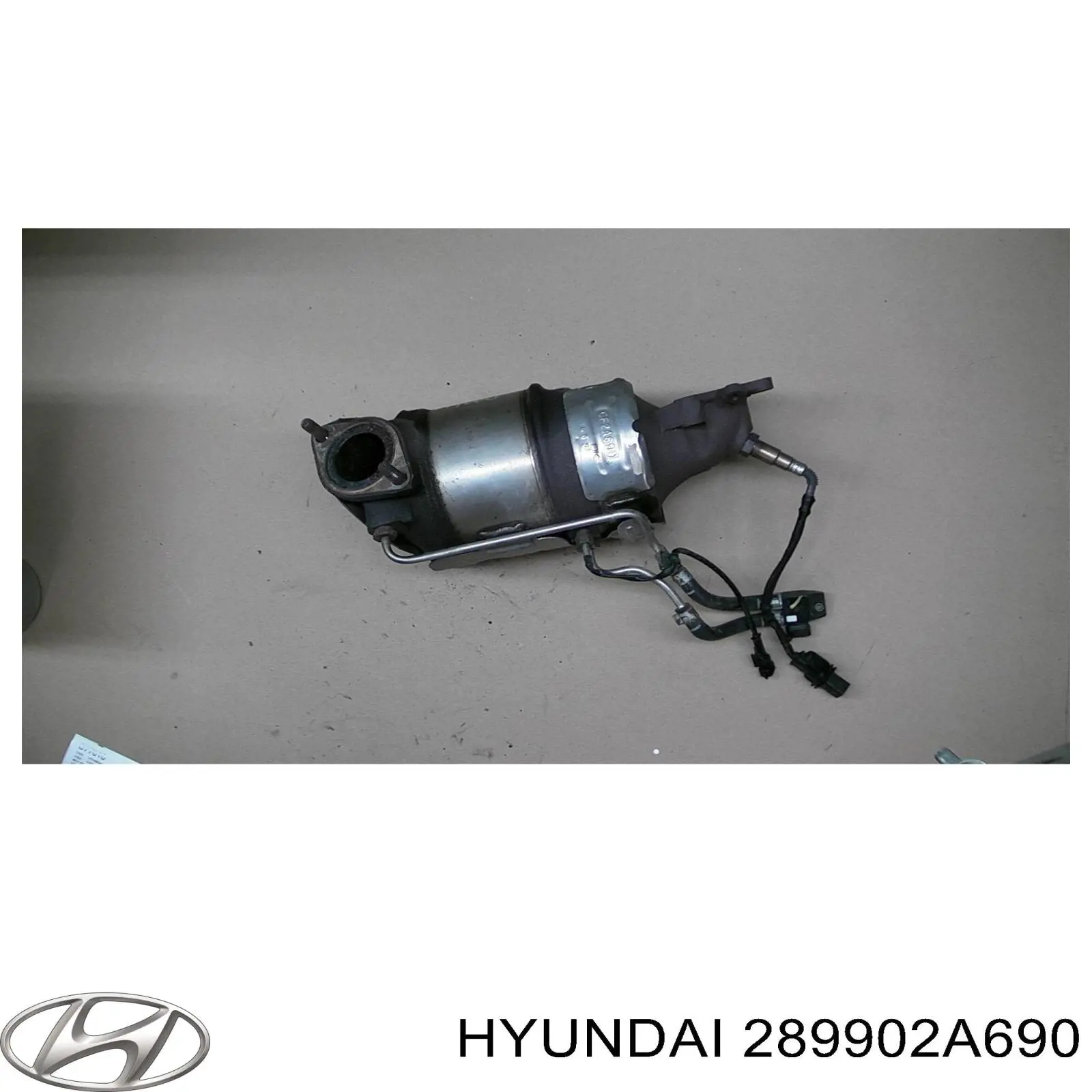 289902A690 Hyundai/Kia Конвертор-катализатор