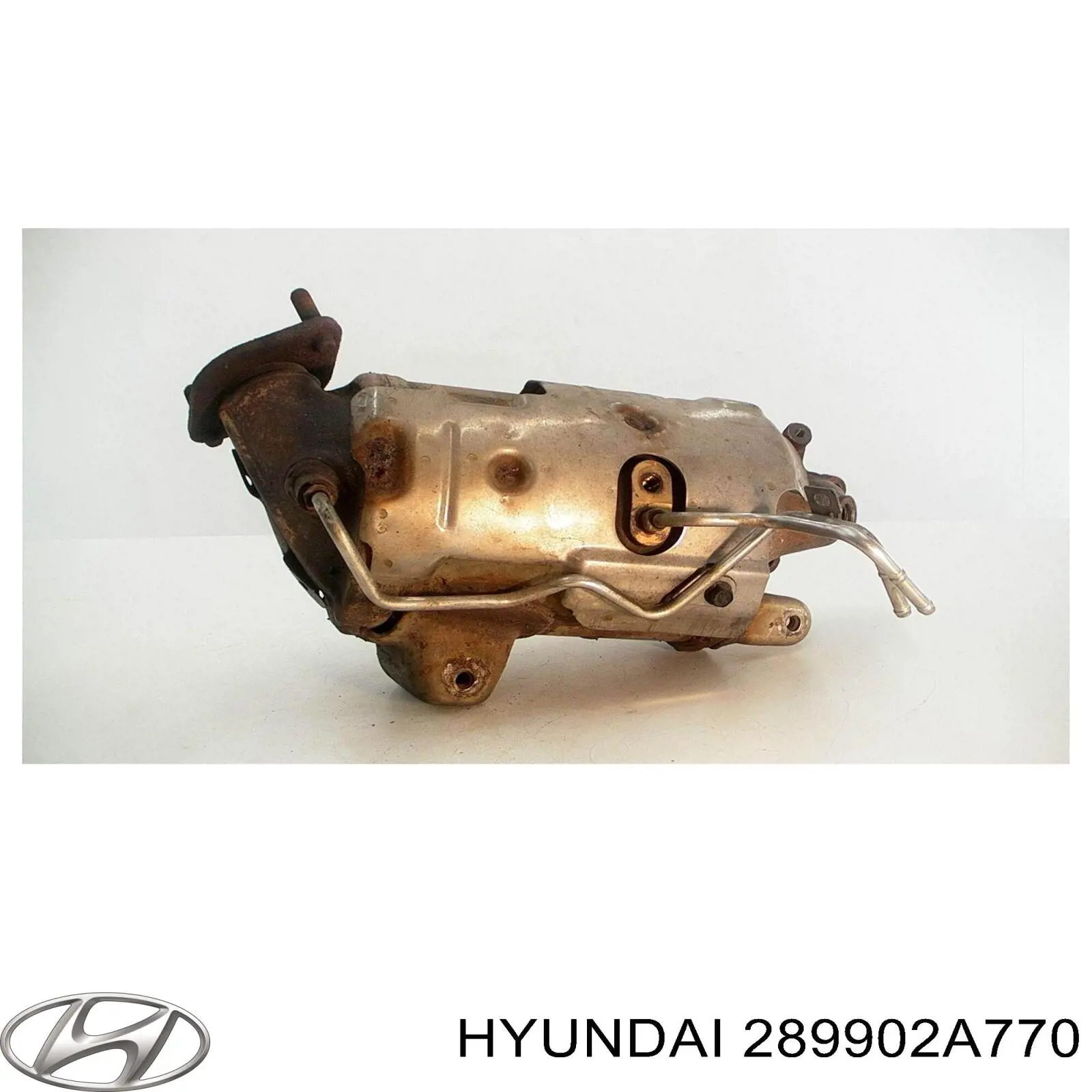 FD5054 AS/Auto Storm Сажевый фильтр DPF