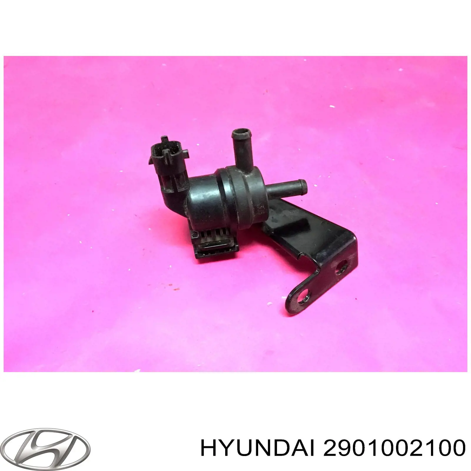  2901002100 Hyundai/Kia