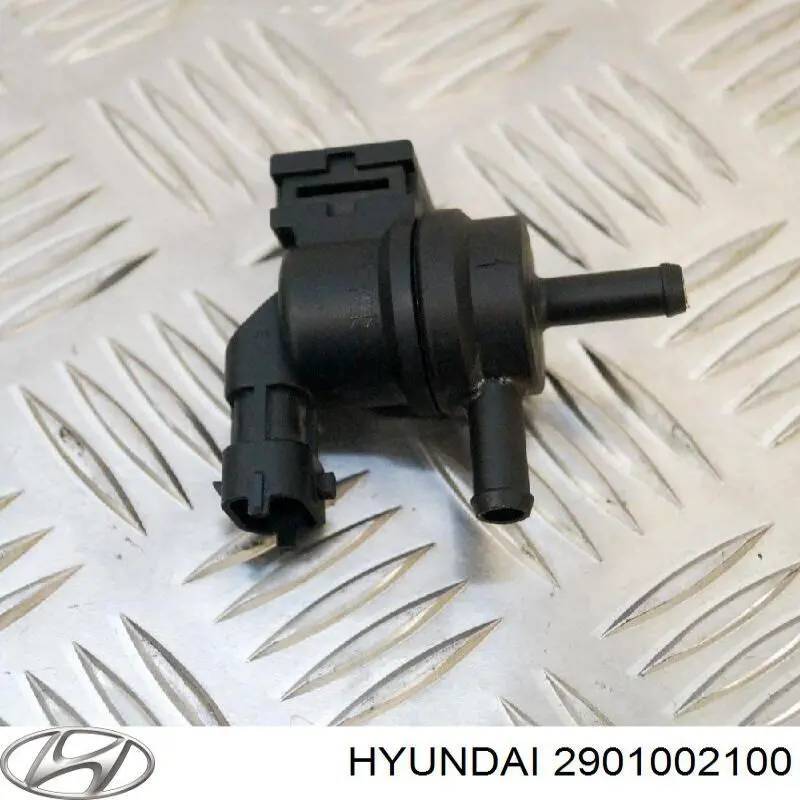  2901002100 Hyundai/Kia