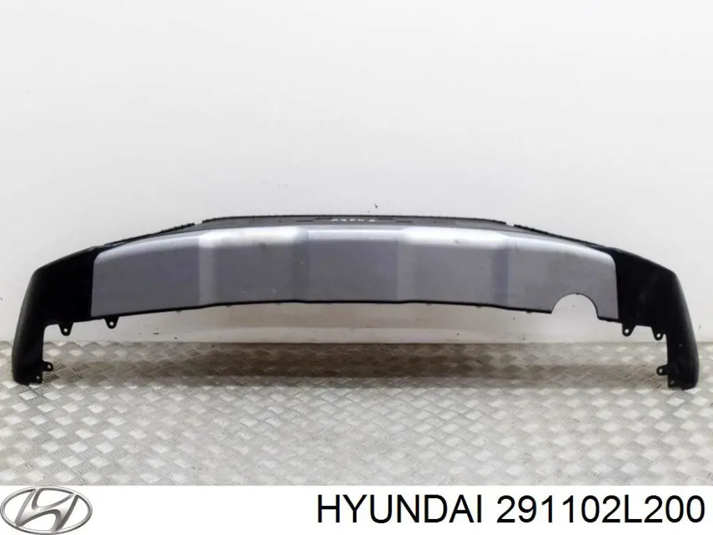  291102L200 Hyundai/Kia