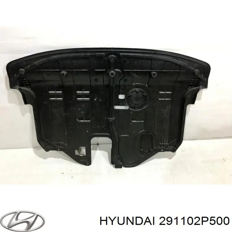 291102P500 Hyundai/Kia proteção de motor, de panela (da seção de motor)