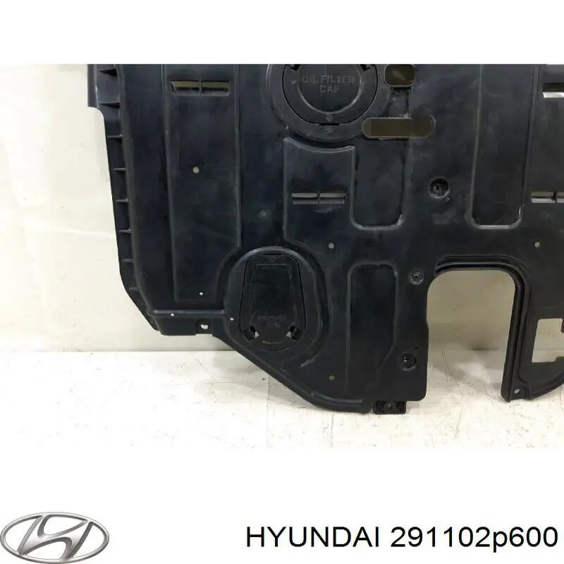 Защита моторного отсека Hyundai/Kia 291102P600 цена, от 106.55 USD