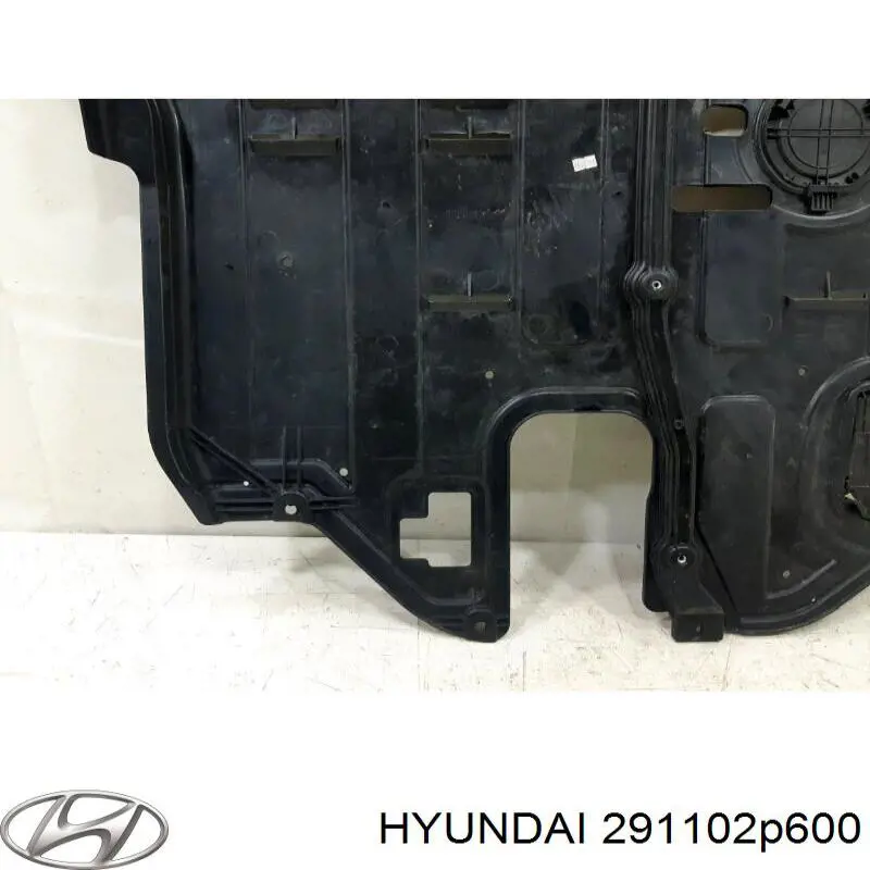Защита двигателя 291102P600 Hyundai/Kia
